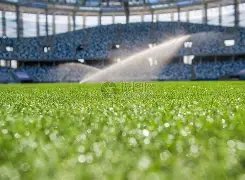 揭秘海港逆,袭之路,四大关键因,亚博,亚博体育,YaBo,亚博体育官网