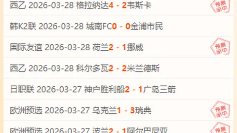 解码德甲激情对决：不莱梅与霍芬海姆深度剖析，独家比分预测大放送！